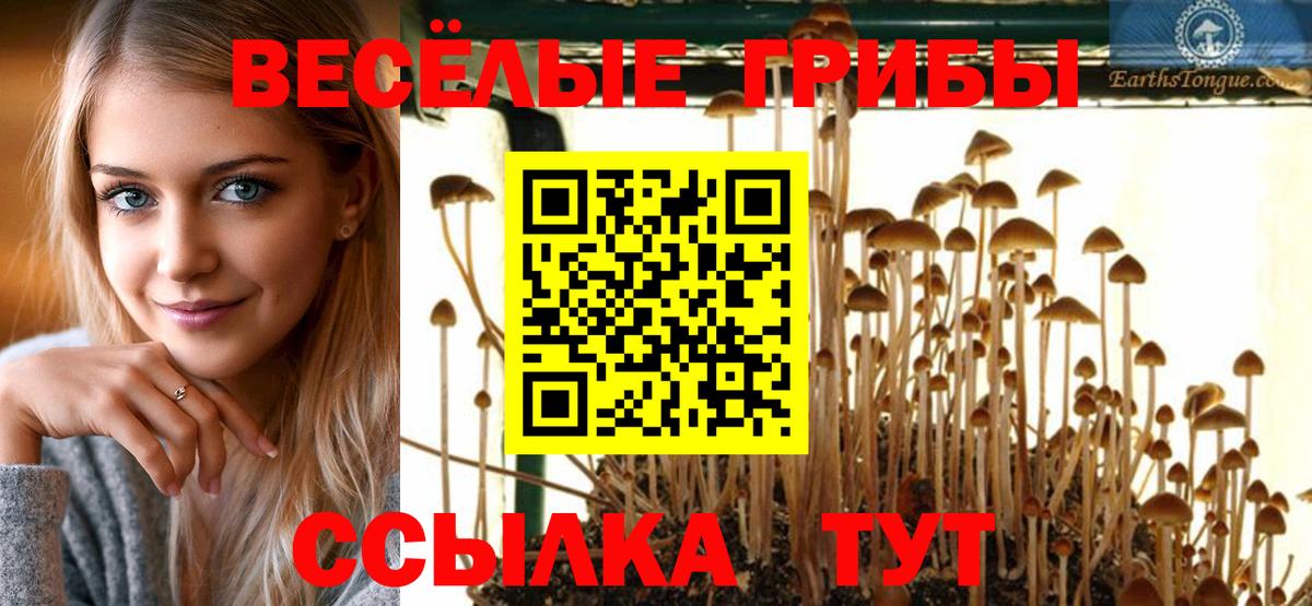 Псилоцибиновые грибы GOLDEN TEACHER Мирный
