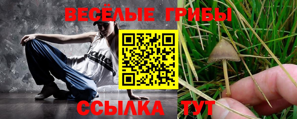 Мирный  Псилоцибиновые грибы мухоморы  Псилоцибиновые грибы Psilocybine cubensis  Вход с VPN 